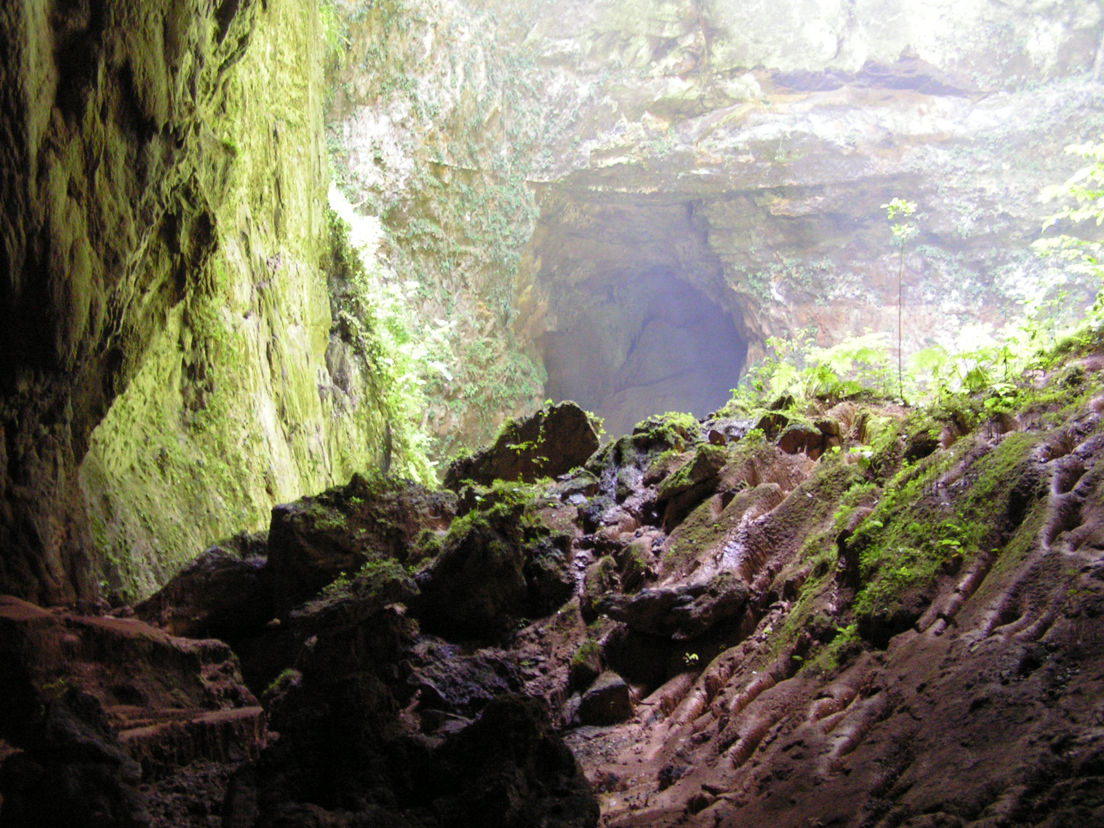 ./2005/Puerto Rico/Part 1/PICT0265.JPG